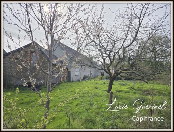 Maison de plain-pied – Fort potentiel – Centre bourg de Rougé (44)