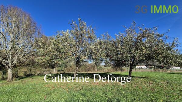 Vente / Corps de ferme