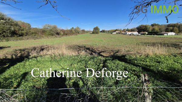 Vente / Corps de ferme