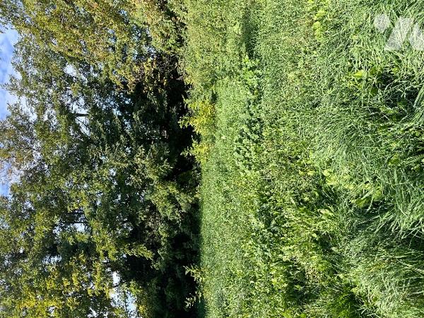 A 2 min à pied du village