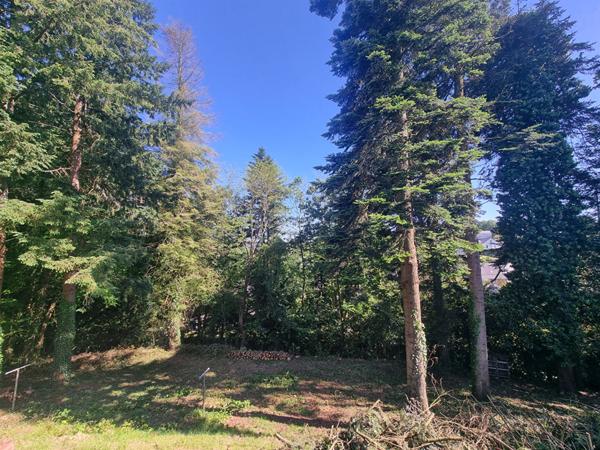 Maison 7 pièces à vendre à Quimperlé - 166.4 m² sur terrain de 1733 m²