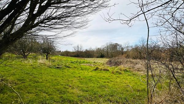 Entre Terre et Mer : Propriété de Caractère sur 1,2 Hectare