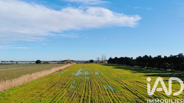 Terrain à vendre 1 140 000 m² Le Grau-du-Roi