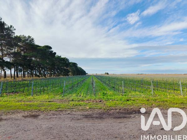 Terrain à vendre 1 140 000 m² Le Grau-du-Roi