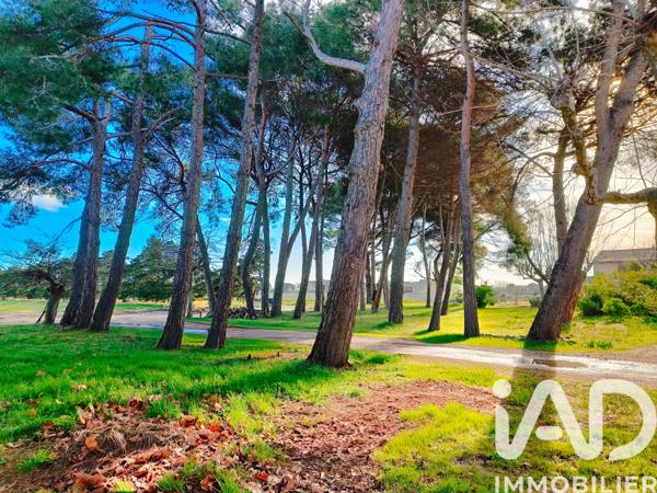 Terrain à vendre 1 140 000 m² Le Grau-du-Roi