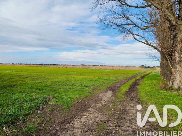 Terrain à vendre 1 140 000 m² Le Grau-du-Roi