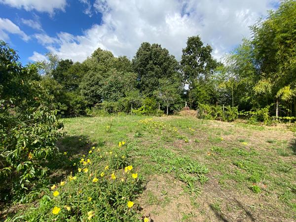 Terrain Machecoul saint même