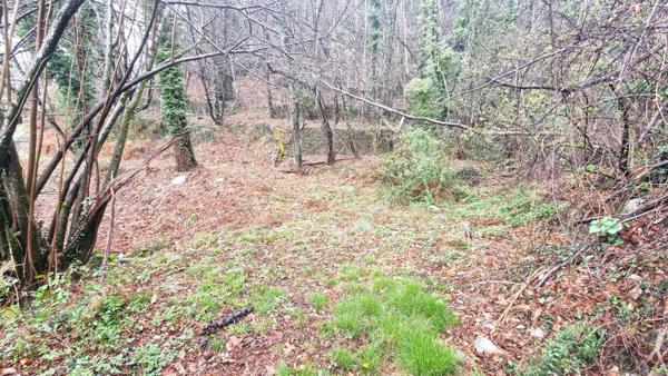 Terrain à vendre de 9 403,00 m² LE COLLET DE DEZE (48)