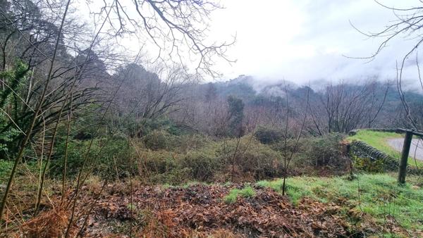 Terrain à vendre de 9 403,00 m² LE COLLET DE DEZE (48)