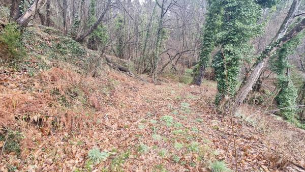 Terrain à vendre de 9 403,00 m² LE COLLET DE DEZE (48)