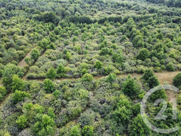 Terrain à vendre  98964 m2 LA FERTE ST AUBIN - 45