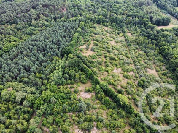 Terrain à vendre  98964 m2 LA FERTE ST AUBIN - 45