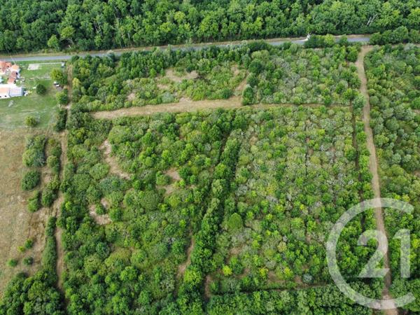 Terrain à vendre  98964 m2 LA FERTE ST AUBIN - 45