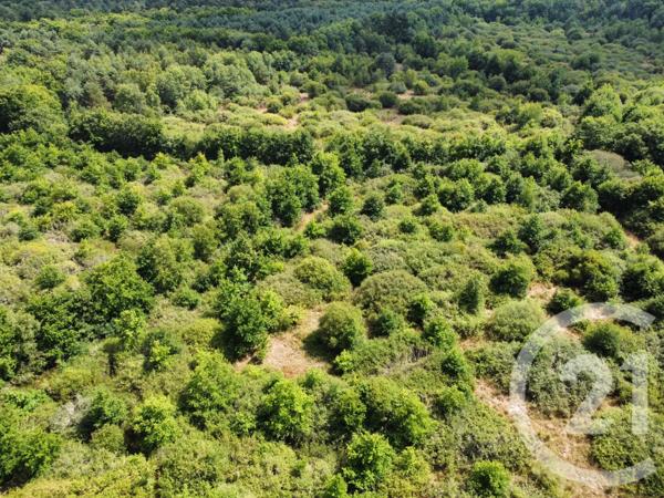 Terrain à vendre  98964 m2 LA FERTE ST AUBIN - 45