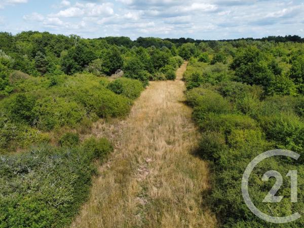 Terrain à vendre  98964 m2 LA FERTE ST AUBIN - 45