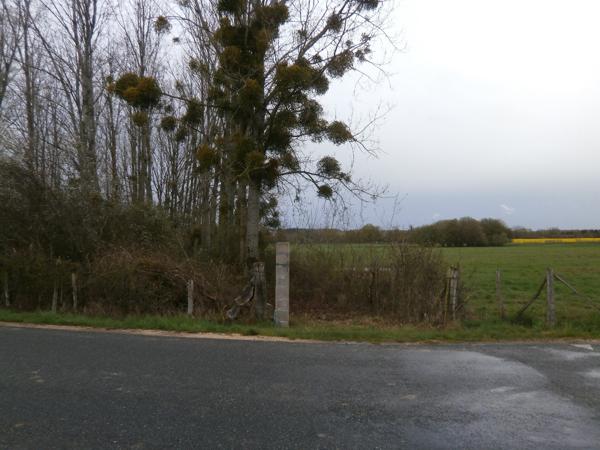 TERRAIN LIBRE POUR GARDE D'ANIMEAUX OU LOISIRS A VOIR... Saint-Georges-sur-la-Prée (18100)