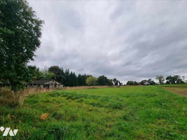 Terrain constructible