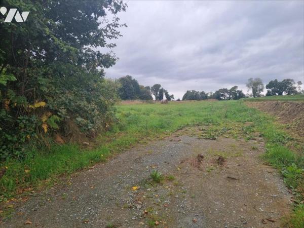 Terrain constructible