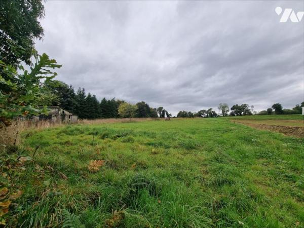 Terrain constructible