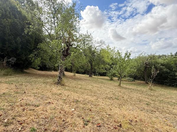 Magnifique terrain arboré constructible