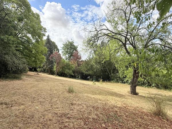 Magnifique terrain arboré constructible