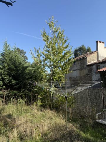 Maison à vendre à Queaux (86150) - Vienne