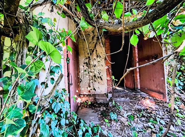 Maison plain-pied à vendre à Lescure d'Albigeois  sur une parcelle d'environ 400 m2