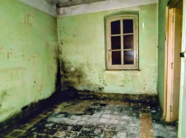 Maison plain-pied à vendre à Lescure d'Albigeois  sur une parcelle d'environ 400 m2
