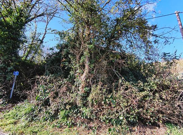 Maison plain-pied à vendre à Lescure d'Albigeois  sur une parcelle d'environ 400 m2