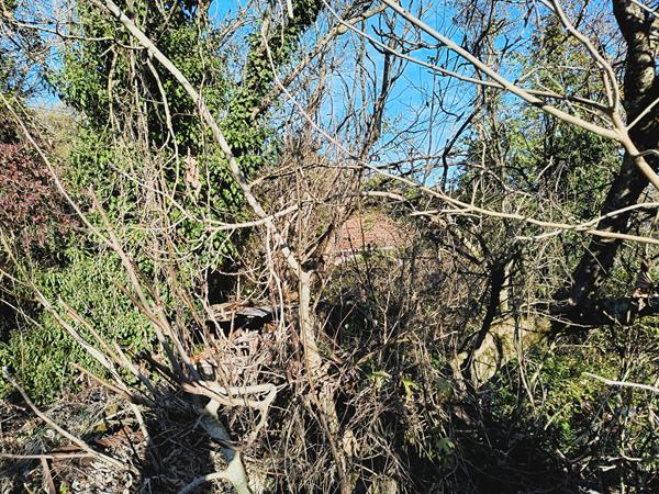 Maison plain-pied à vendre à Lescure d'Albigeois  sur une parcelle d'environ 400 m2