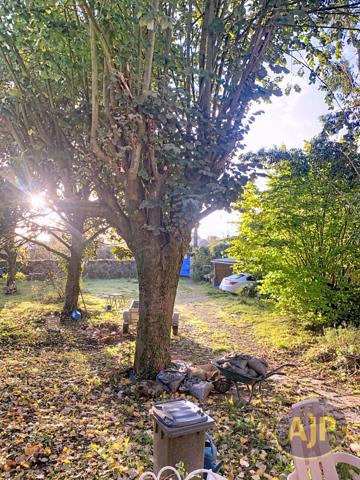 Vente maison Bel Air : 175 065 € - AJP Immobilier Segré