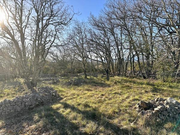 Terrain à vendre    Ruoms