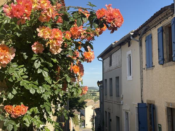 Maison à vendre à Villasavary (11150) - Aude