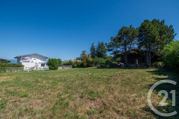 Terrain à vendre  1087 m 2   SCIEZ  - 74