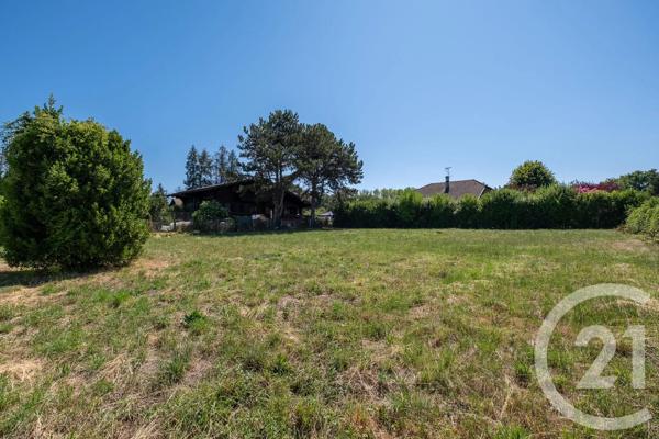 Terrain à vendre  1087 m 2   SCIEZ  - 74