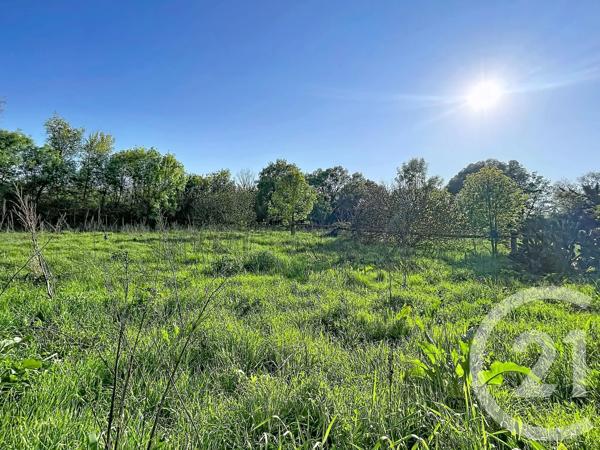 Maison à vendre  6 pièces - 144,22 m 2   FLORENSAC  - 34