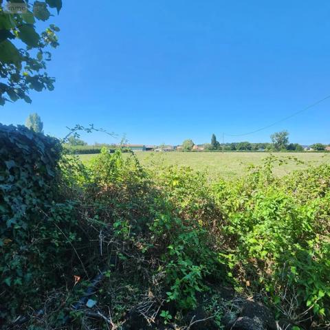 Achat - Maison Cherré-Au 72400 4 pièces 75 m 2 1241 m 2