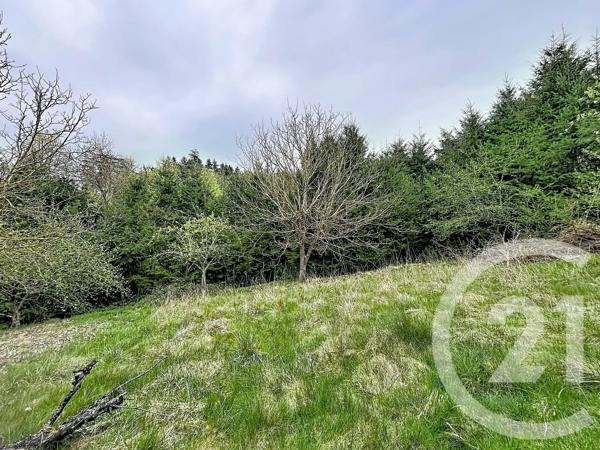 Terrain à vendre  1158 m 2   MONISTROL SUR LOIRE  - 43