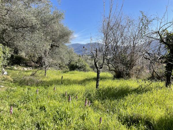 Carros (06510) Terrain à vendre CARROS 754m2