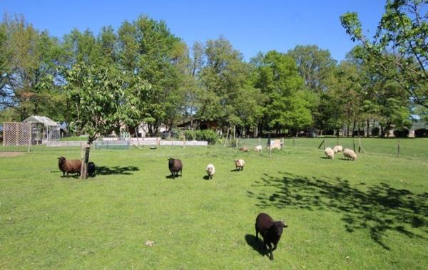 Vente Propriété Propriété Pamiers   