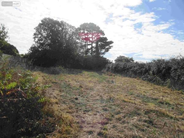 Achat - Maison Plouhinec 29780 4 pièces 83 m 2 1160 m 2