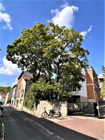 Cachan (94230) Cachan , 3 chambres , triplex