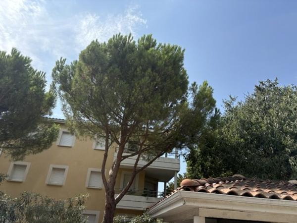 Appartement à vendre 93 415 € Carcassonne 3 p 64 m² DPE C