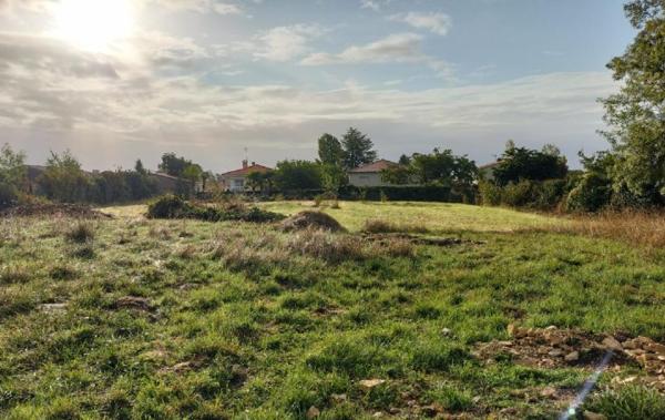 Vente Terrain Surgeres   