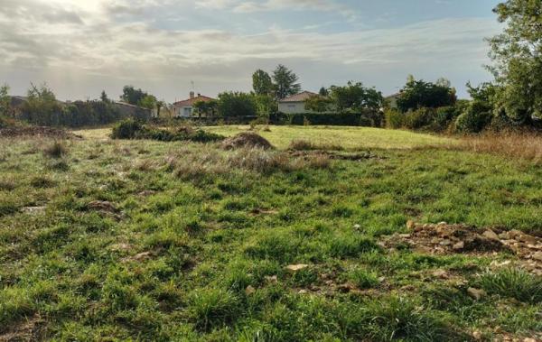 Vente Terrain Surgeres   