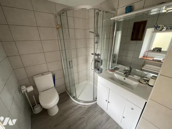 Belle propriété rurale de 357m² habitable avec dépendances et gite de 12 personnes sur VIVOIN