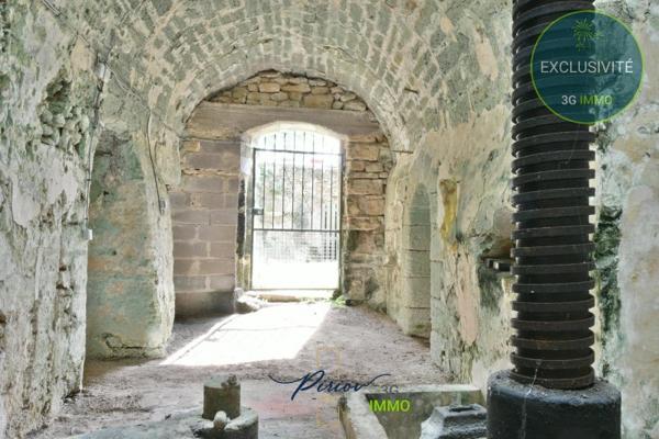 Vente / Maison T6 à Doué la Fontaine (49700)