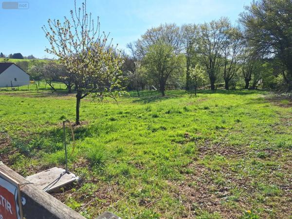 Achat - Terrain à bâtir | Terrain à bâtir Quantilly 18110 1176 m 2