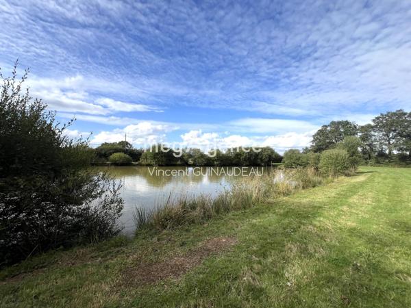 Terrain à Cholet, 49300 - 12539m²