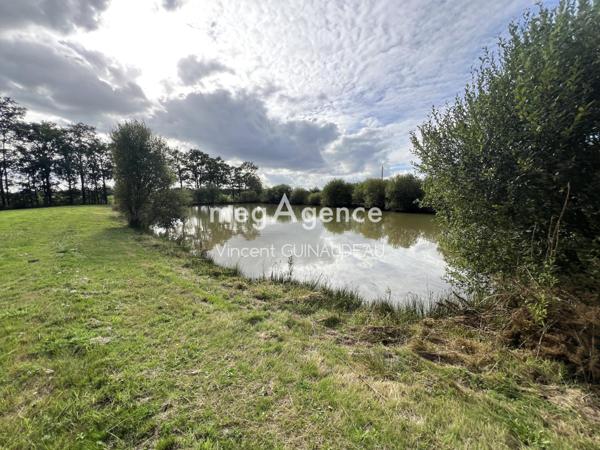 Terrain à Cholet, 49300 - 12539m²